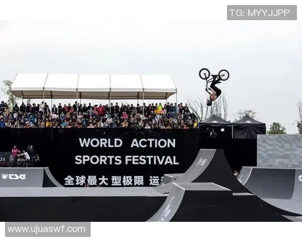 成都极限运动队团队协作模式深度对比与分析探讨